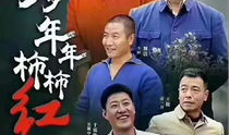 岁岁年年柿柿红电视剧,岁月流转，红柿情缘