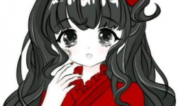 动漫红,燃烧的青春，热血的动漫传奇